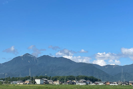 店舗周辺の景色🌻🌾